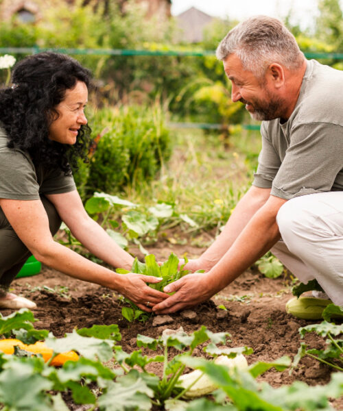 Ce este o pompa de motor si pentru ce se utilizeaza? 