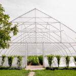 Care este scopul unei sere?