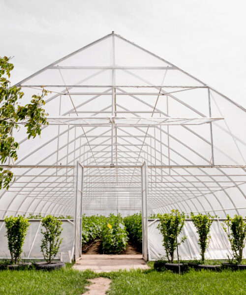 Care este scopul unei sere?