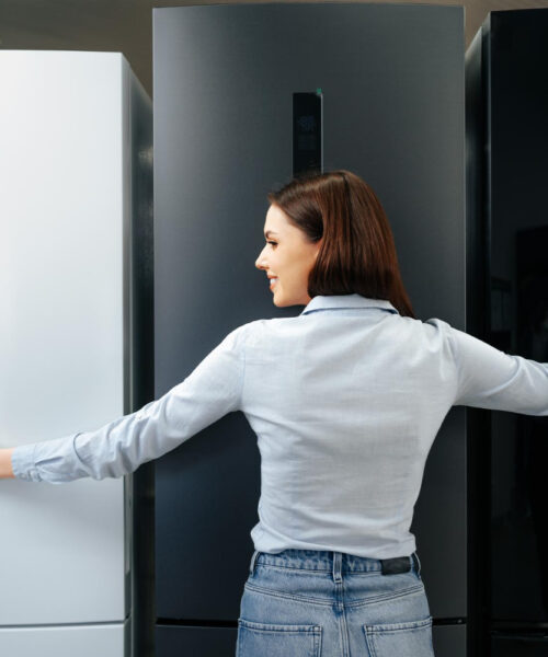 Care a fost evolutia frigiderului?