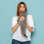 Lucruri pe care nu le stiai despre pisici