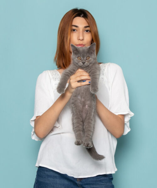 Lucruri pe care nu le stiai despre pisici