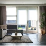 Cum oferi un plus de eleganță casei tale? Descoperă 5 plante de interior cu care nu poți da greș