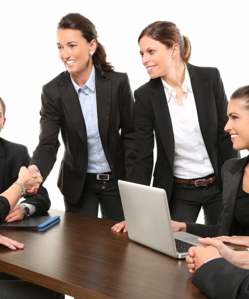 Auditul intern în cadrul guvernanței corporative: transparență și conformitate în lumea afacerilor