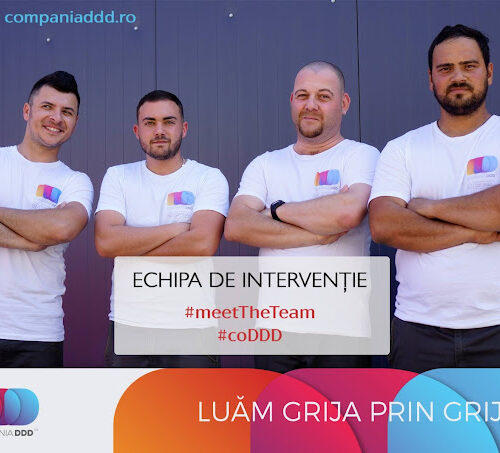 Metode eficiente de eliminare a gandacilor din institutiile publice