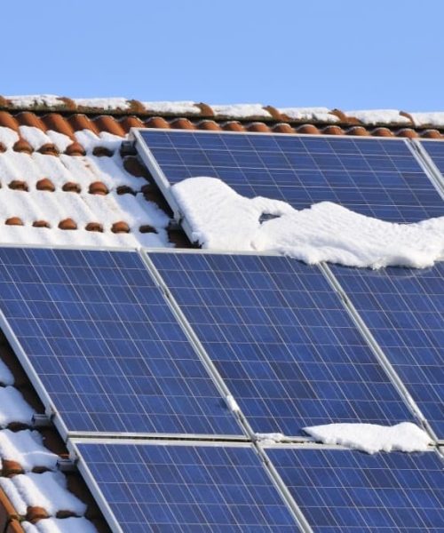 Tot ce trebuie să știți despre panourile fotovoltaice: economii și prietenie cu mediul!