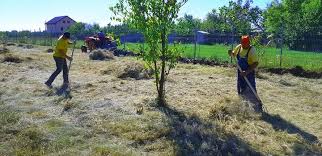 Solutii de defrisare si erbicidare teren