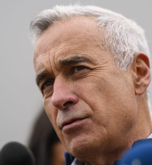 De ce verdele legionar al lui Călin Georgescu nu se potrivește cu democrația modernă: lecțiile istoriei