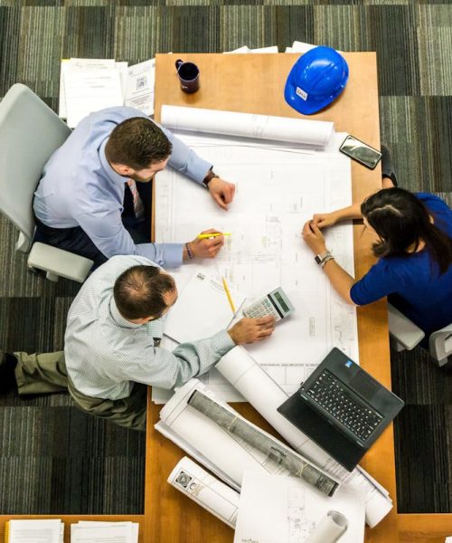 Cum poate ajutorul unui expert să faciliteze procesul de proiectare exterioară și interioară